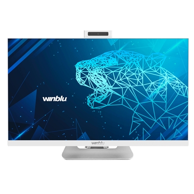 LCDPC M-TOUCH WINBLU EVISION 6030 23.8''FHD AG WHT MM I5-12400 16DDR4 500SSD FREEDOS WIFI BT RJ45 CR CAM MIC COM HDMI FINO:31/01