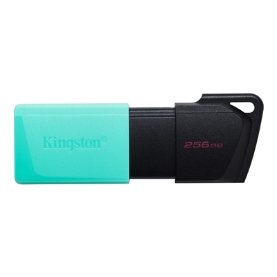 FLASH DRIVE USB3.2 256GB KINGSTON DTXM/256GB EXODIAM NERO+VERDE