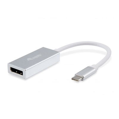 ADATTATORE USB EQUIP 133458 DA USB-C MASCHIO A DISPLAY PORT FEMMINA - EAN: 4015867200650